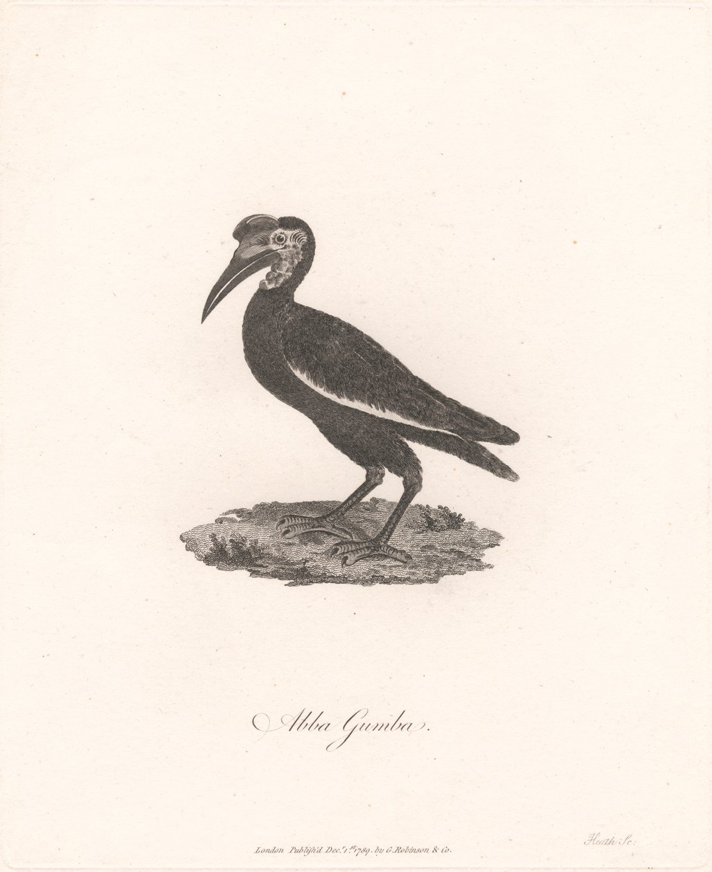 Tlačítko ABBA od James Heath