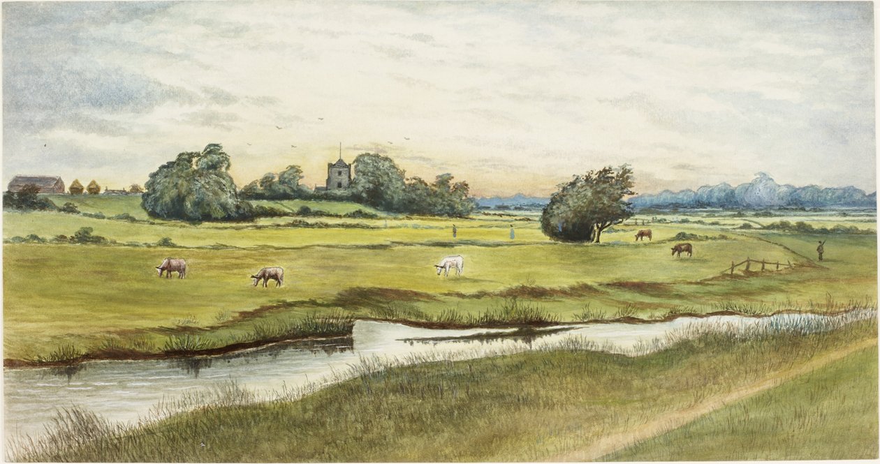 Ryton Meadows (akvarel a tělová barva na papíře) od James Henry Cleet