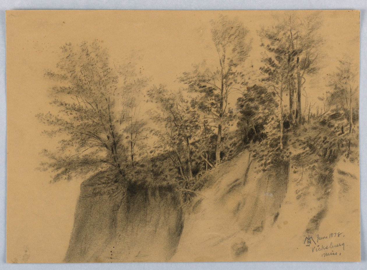 Cliff and Trees, Vicksburg, slečno. od James Henry Moser