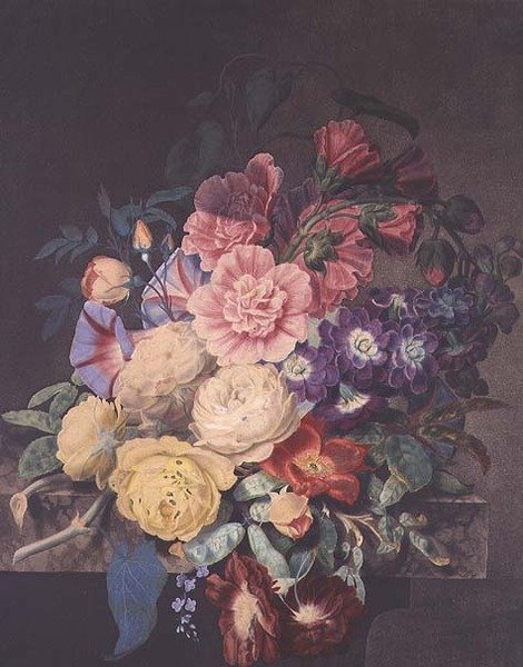 Hollyhocks a růže od James Hewlett