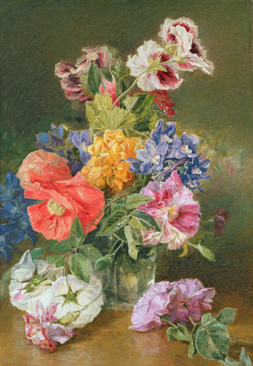 Růže, mák a pelargonie od James Holland
