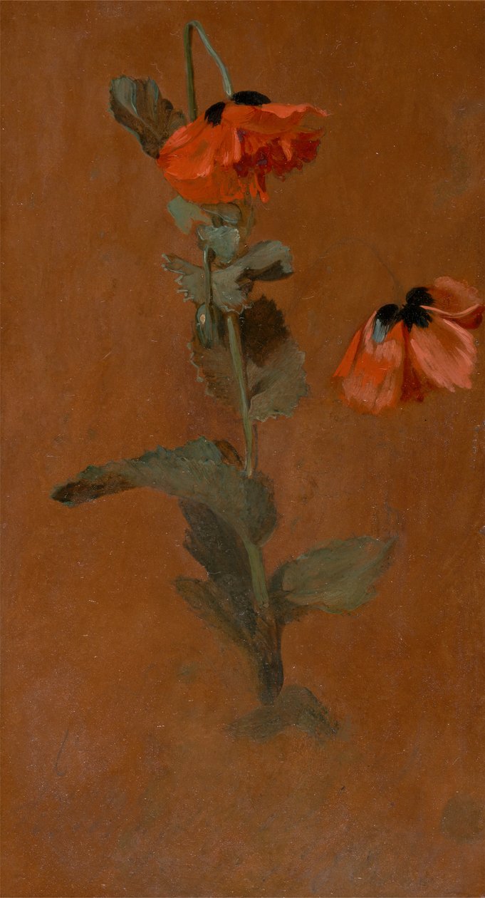 Studie o mácích, 1832. od James Inskipp