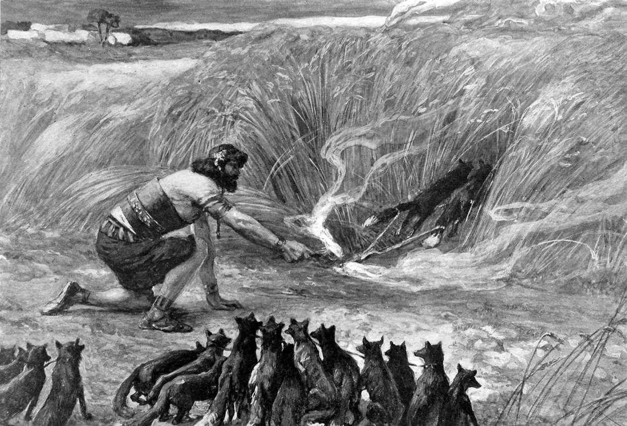 Samson a lišky od J James Tissot - Bible od James Jacques Joseph (after) Tissot