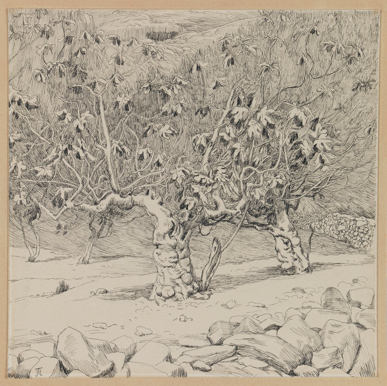Fíkovník, Údolí Hinnom, ilustrace ze Života našeho Pána Ježíše Krista (inkoust na papíře) od James Jacques Joseph Tissot