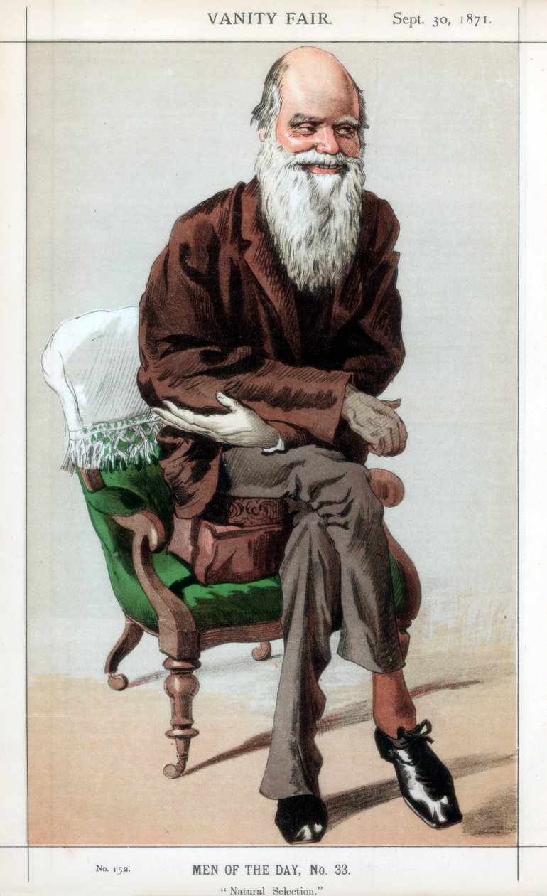 Přírodní výběr, 1871. od James Jacques Joseph Tissot