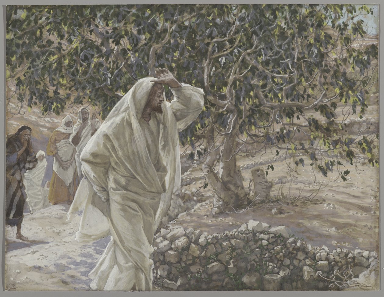 The Accursed Fig Tree, ilustrace ze Života našeho Pána Ježíše Krista, 1886-94 (wc přes grafit na papíře) od James Jacques Joseph Tissot