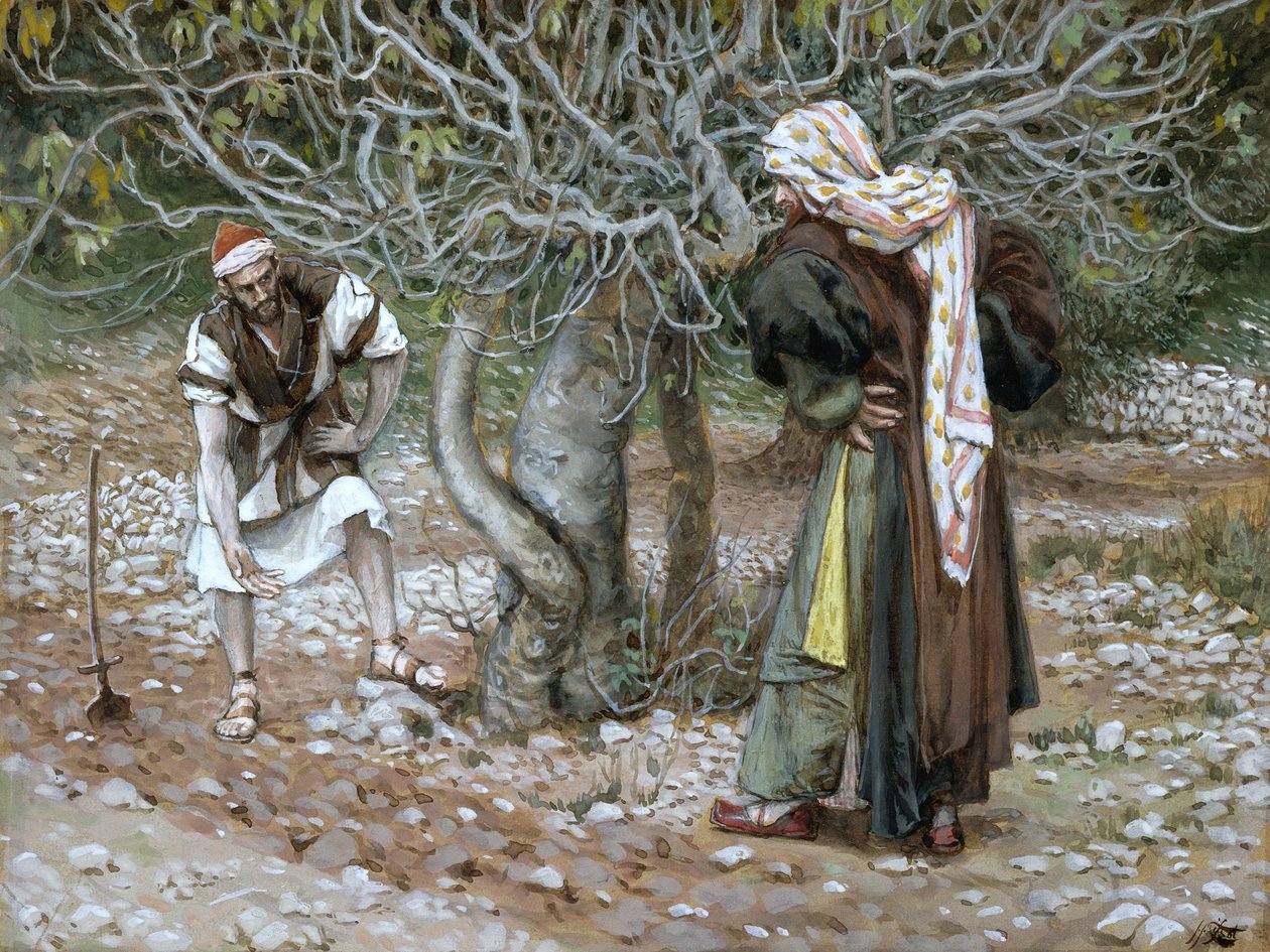 The Barren Fig Tree, ilustrace pro The Life of Christ, c.1886-94 (wc & kvaš na kartonu) od James Jacques Joseph Tissot