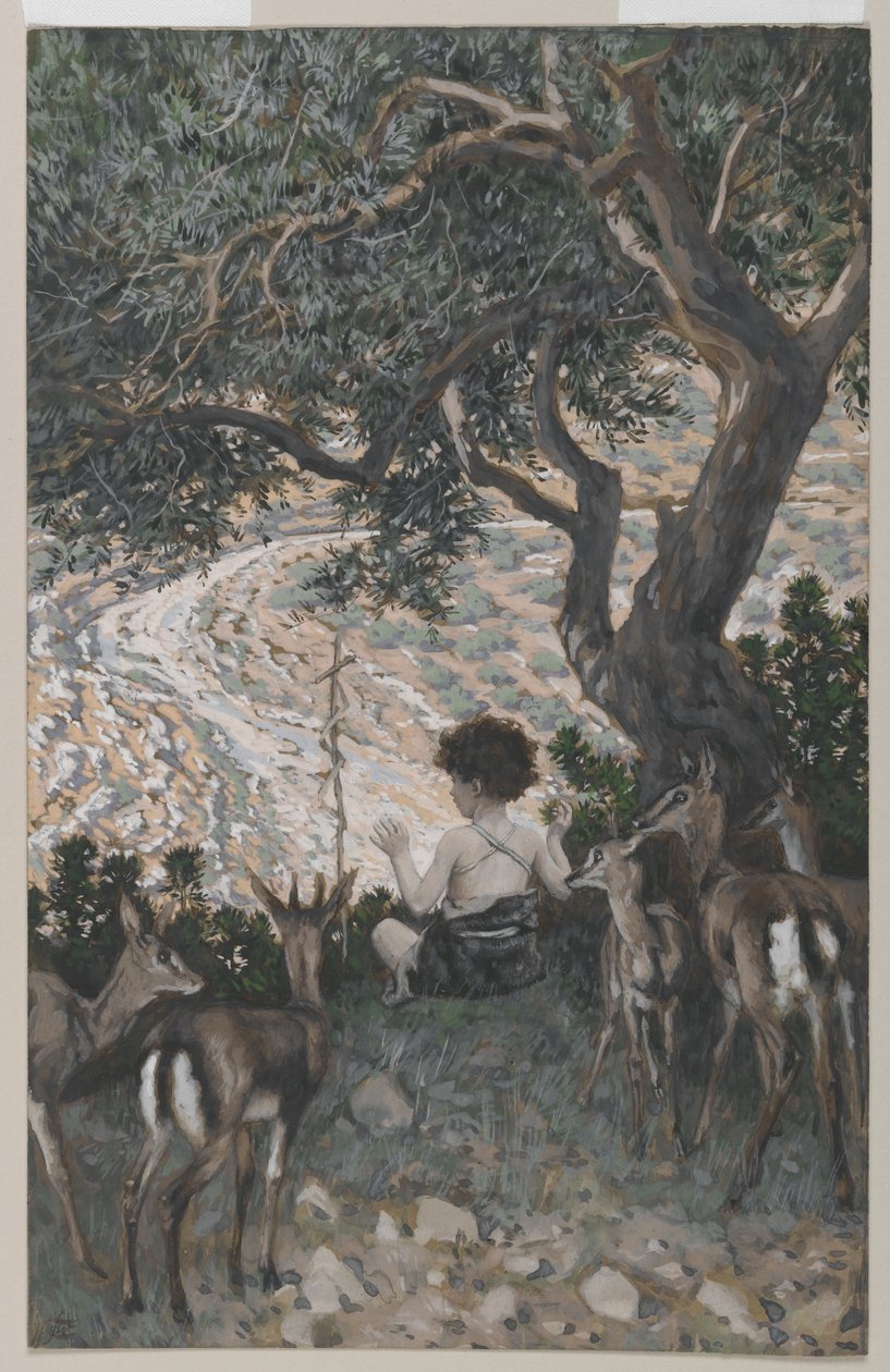 Dětství svatého Jana Křtitele, ilustrace ze Života našeho Pána Ježíše Krista (wc přes grafit na papíře) od James Jacques Joseph Tissot