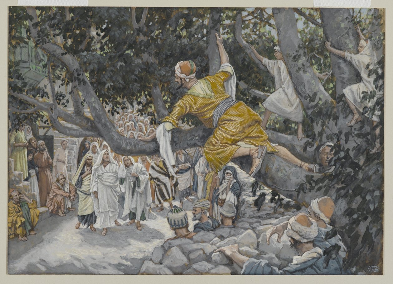 Zacheus v Sykomoru čeká na Ježíšův průchod, ilustrace ze Života našeho Pána Ježíše Krista, 1886-96 (wc přes grafit na papíře) od James Jacques Joseph Tissot