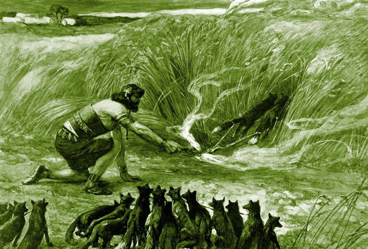 Samson a lišky od J James Tissot - Bible od James Jacques Joseph after Tissot