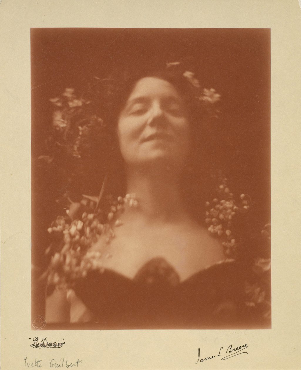 "The Desire": portrét Yvette Guilbert, 1896 od James L. Breese