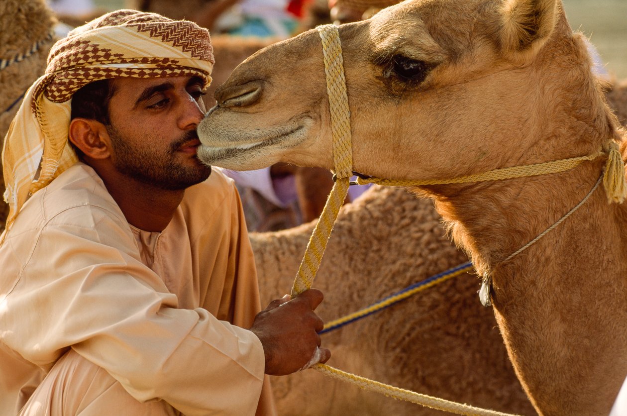 Ománec líbá svého velblouda s měkkýma očima na národním závodě velbloudů. Al Falaj Distri... od James L Stanfield
