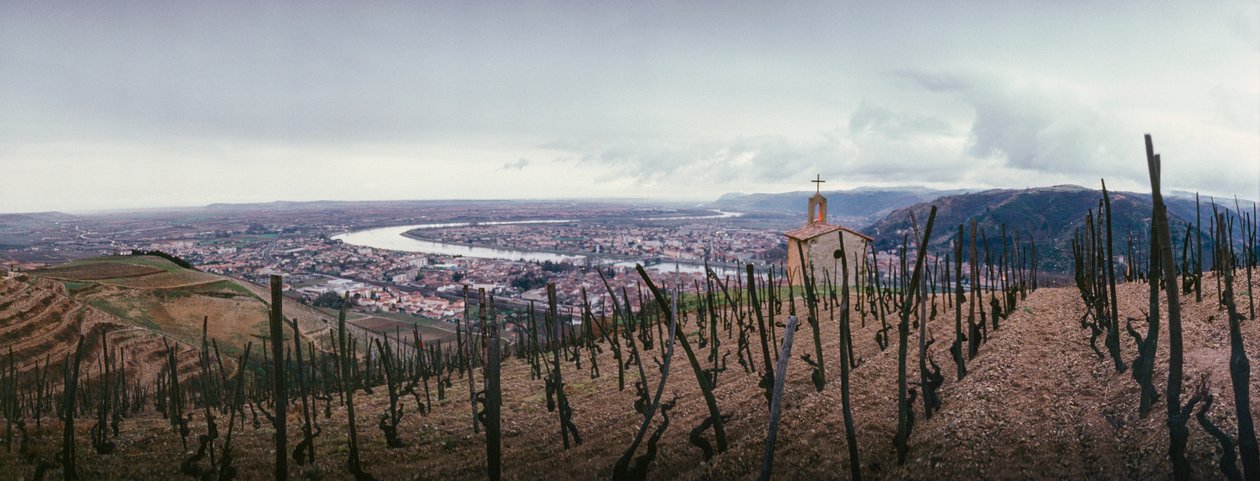 Z vinice je výhled na město a řeku Rhonu. SOCIETE PAUL JABOULET AINE WINE... od James L Stanfield
