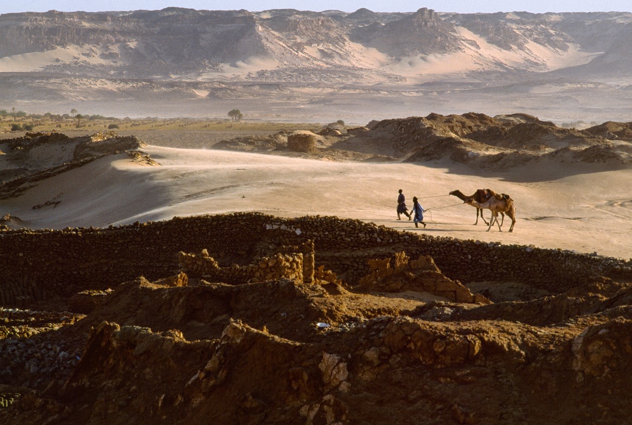 Velbloud se členy solné karavany přechází pouštní náhorní plošinu v BILMĚ, NIGER. BILMA, NIGER. od James L Stanfield