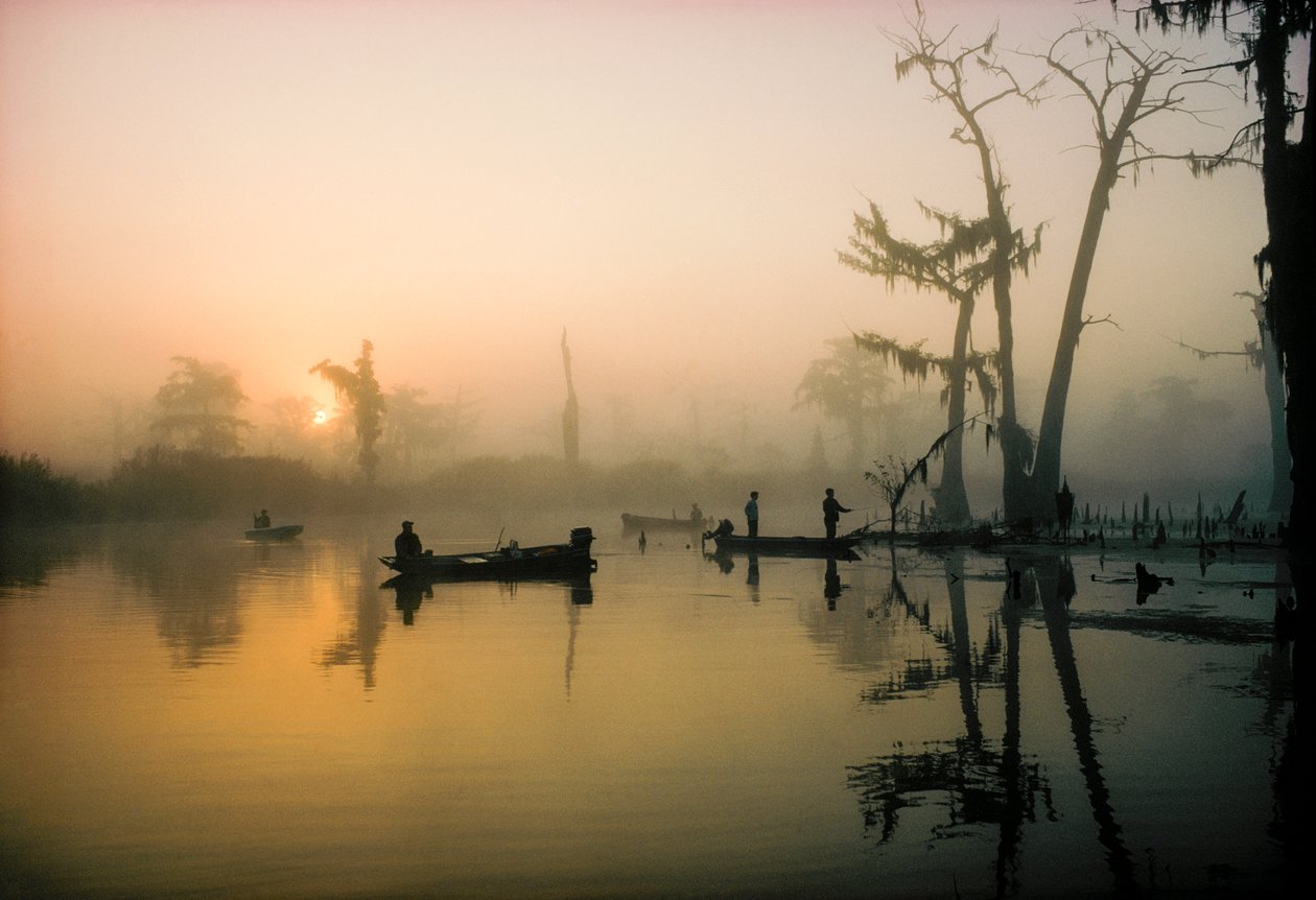 Říjnové slunce zahání ranní mlhu nad zátokou Alligator Bayou v deltě Louisiany, takže... od James L Stanfield