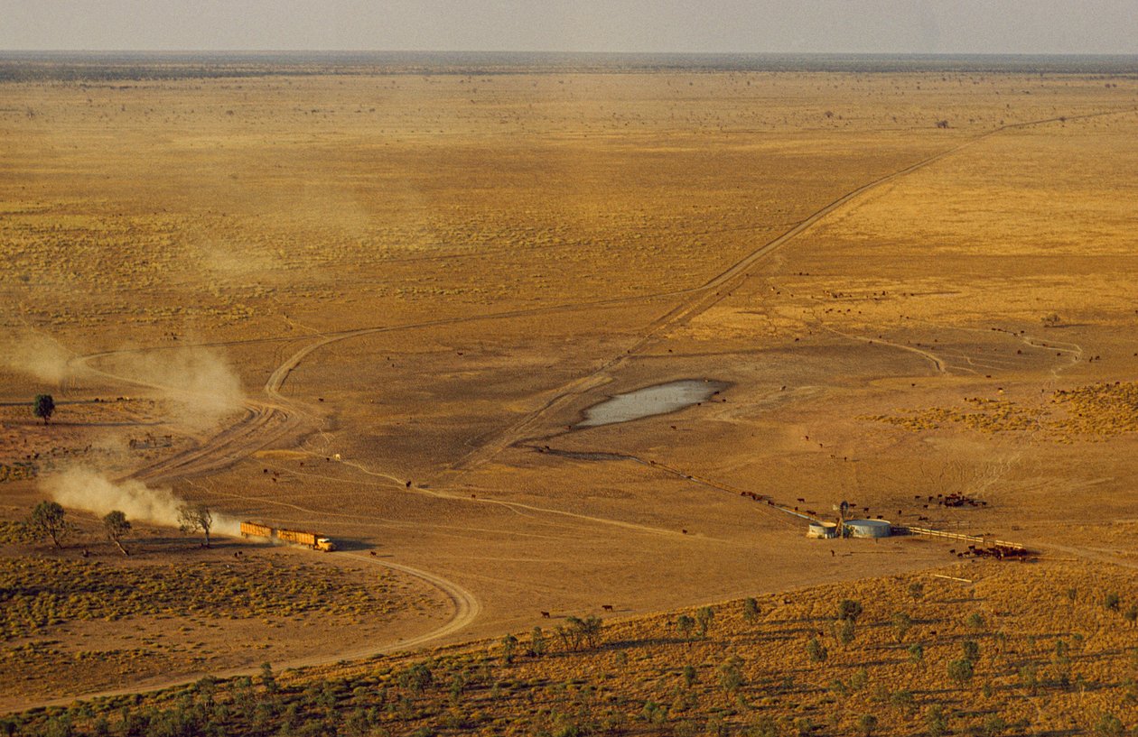 Silniční vlak převážející dobytek projíždí zapovězenou náhorní planinou. Západní Austrálie, Austrálie. od James L Stanfield