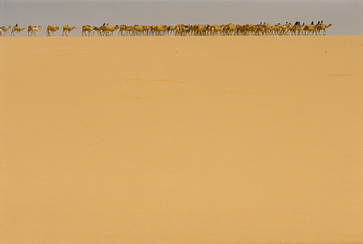 Karavana se solí na cestě do Agadezu v Nigérii. NA CESTĚ DO AGADEZU, NIGÉRIE, NIGER. od James L Stanfield