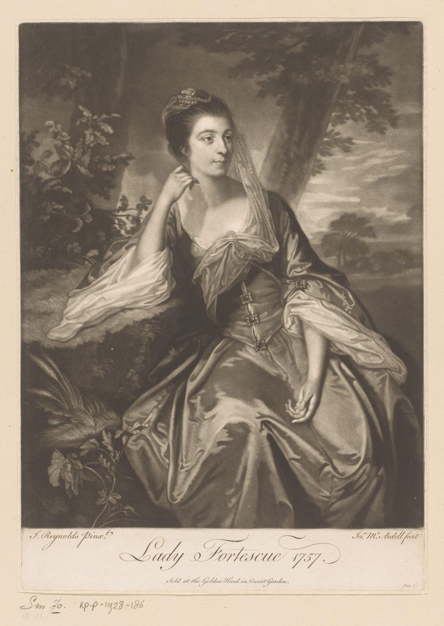 Portrét van Anne Fortescue Lady Fortescue (název na objektu) od James McArdell