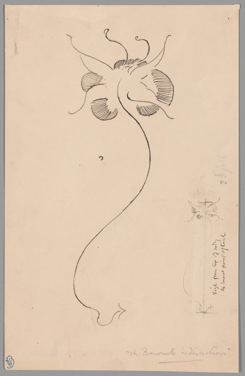 Motýl (recto); studie motýla (verso) od James McNeill Whistler