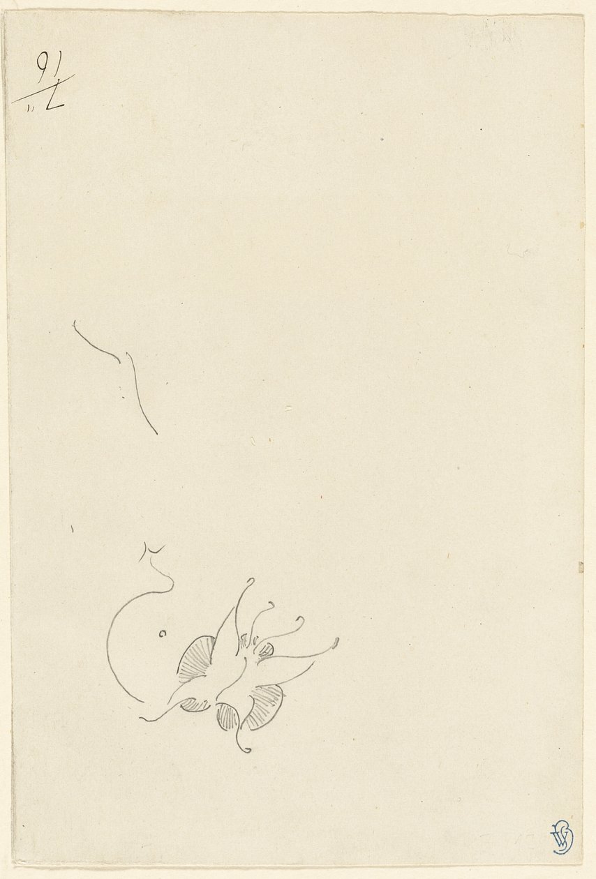 Motýl od James Abbott McNeill Whistler