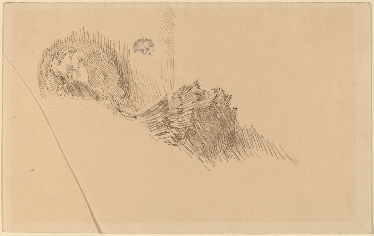 Paní nebo slečna McNayová od James Abbott McNeill Whistler
