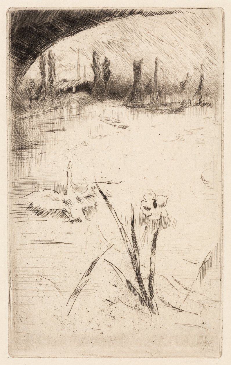 Skica podle obrazu Cecila Lawsona "Labuť a kosatec" od James McNeill Whistler