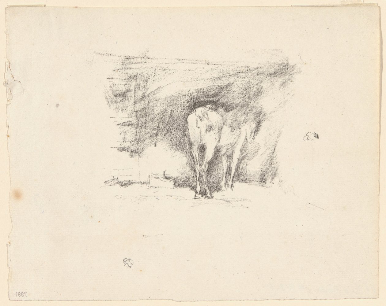 Studie koně od James Abbott McNeill Whistler