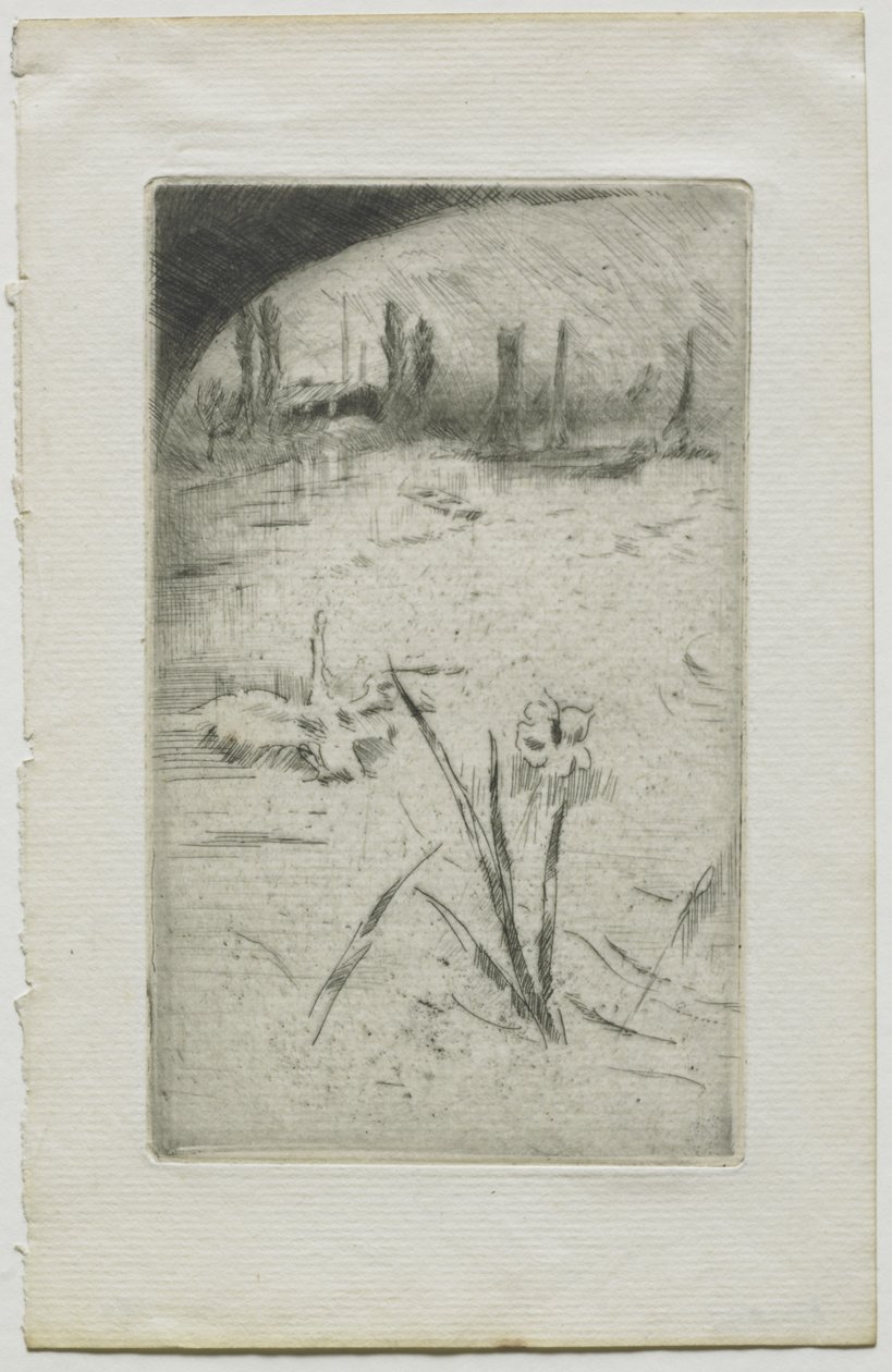 Labuť a kosatec od James McNeill Whistler