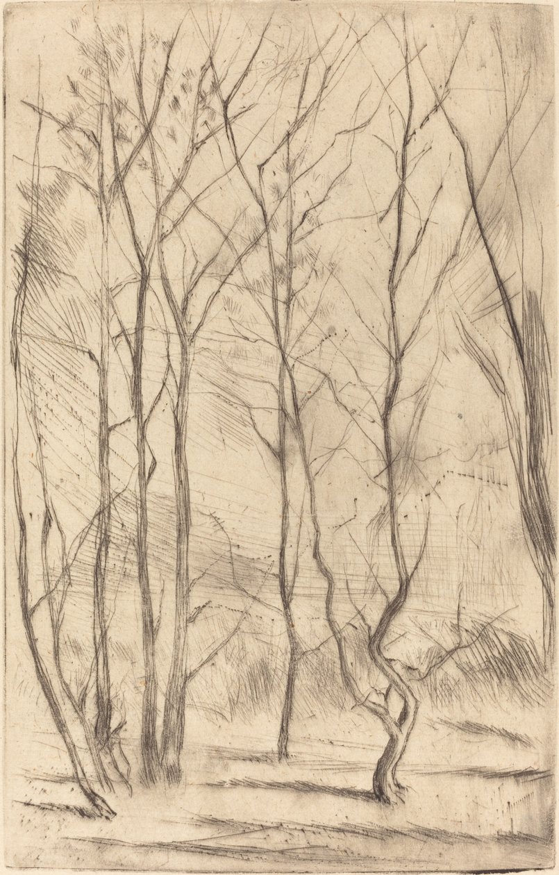 Přehradní les od James Abbott McNeill Whistler