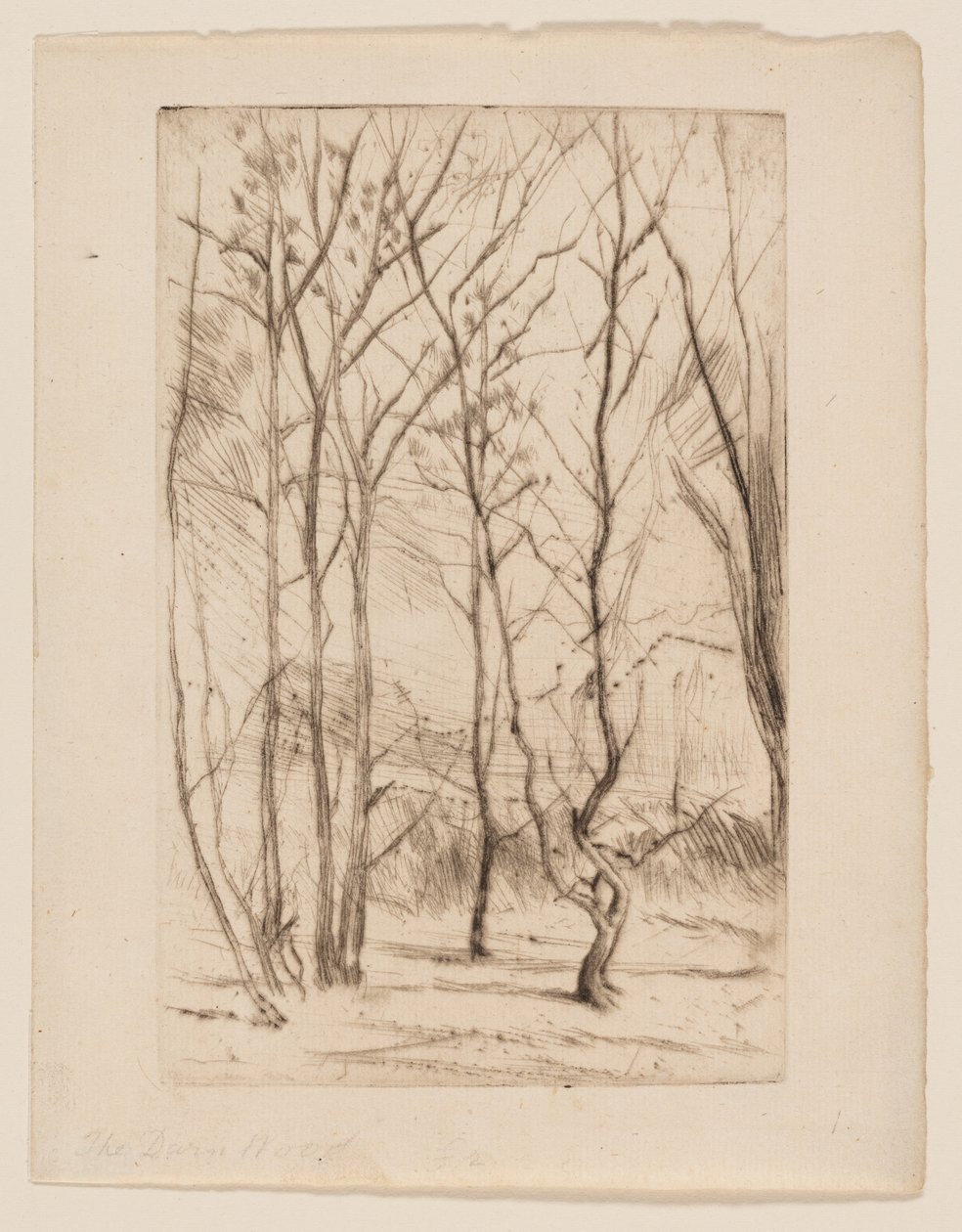 Přehradní les od James Abbott McNeill Whistler