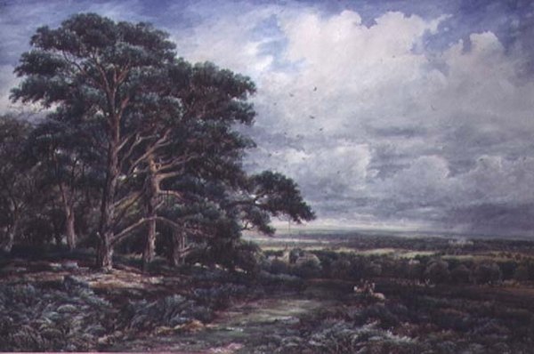 Bradgate Park poblíž Leicesteru, akvarel od James Orrock