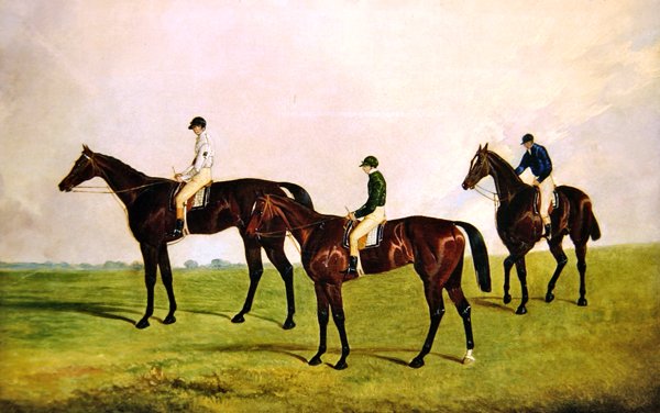 Dostihové koně Jockeys Up (olej na plátně) od James Pollard
