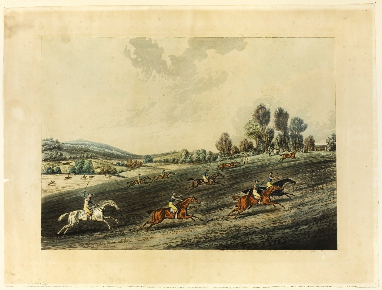 Saint Albans Grand Steeple Chase od James Pollard