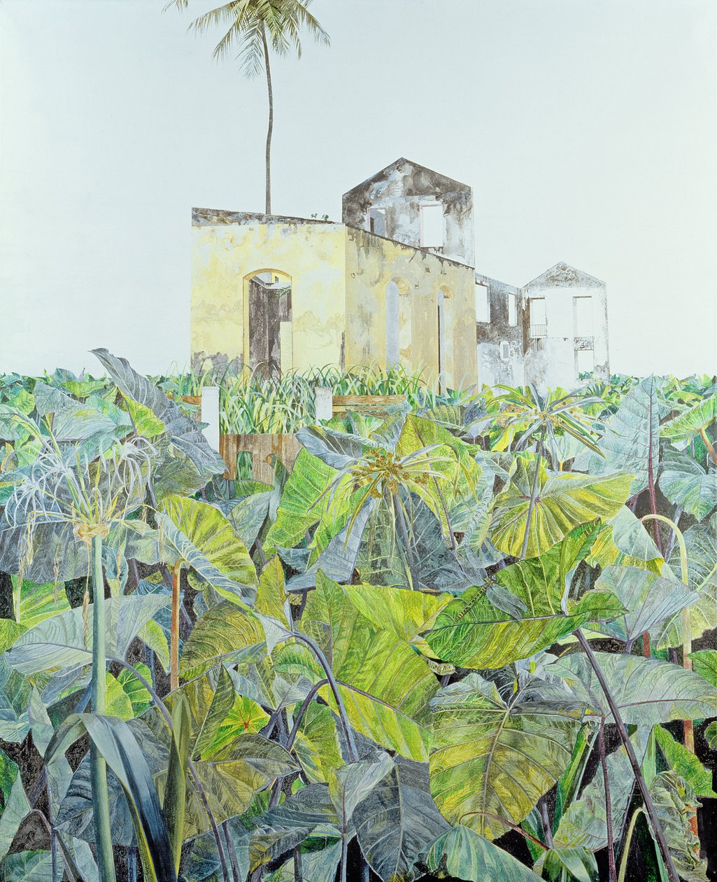 Ruin in a Swamp, Haiti, 1971 od James Reeve