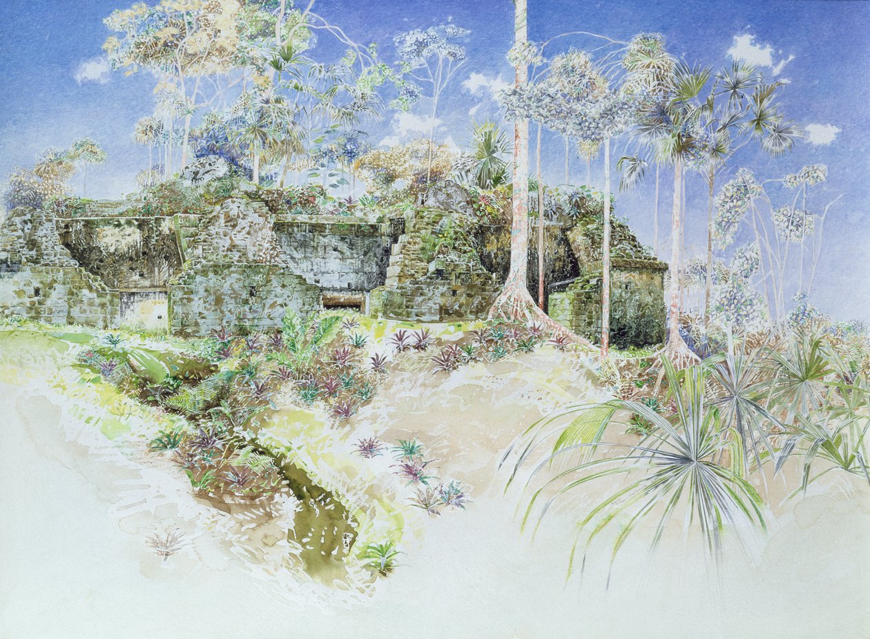 Ruined Temple, Tikal, Guatemala, 1984 (wc na papíře) od James Reeve