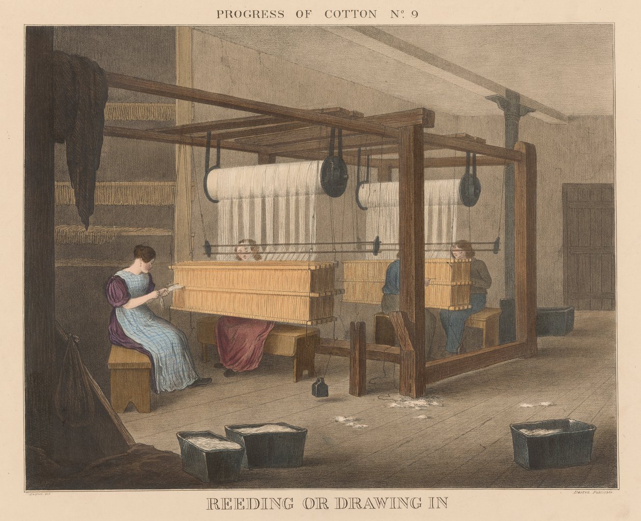 Progress of Cotton: #9 – rákosí nebo vtahování od James Richard Barfoot