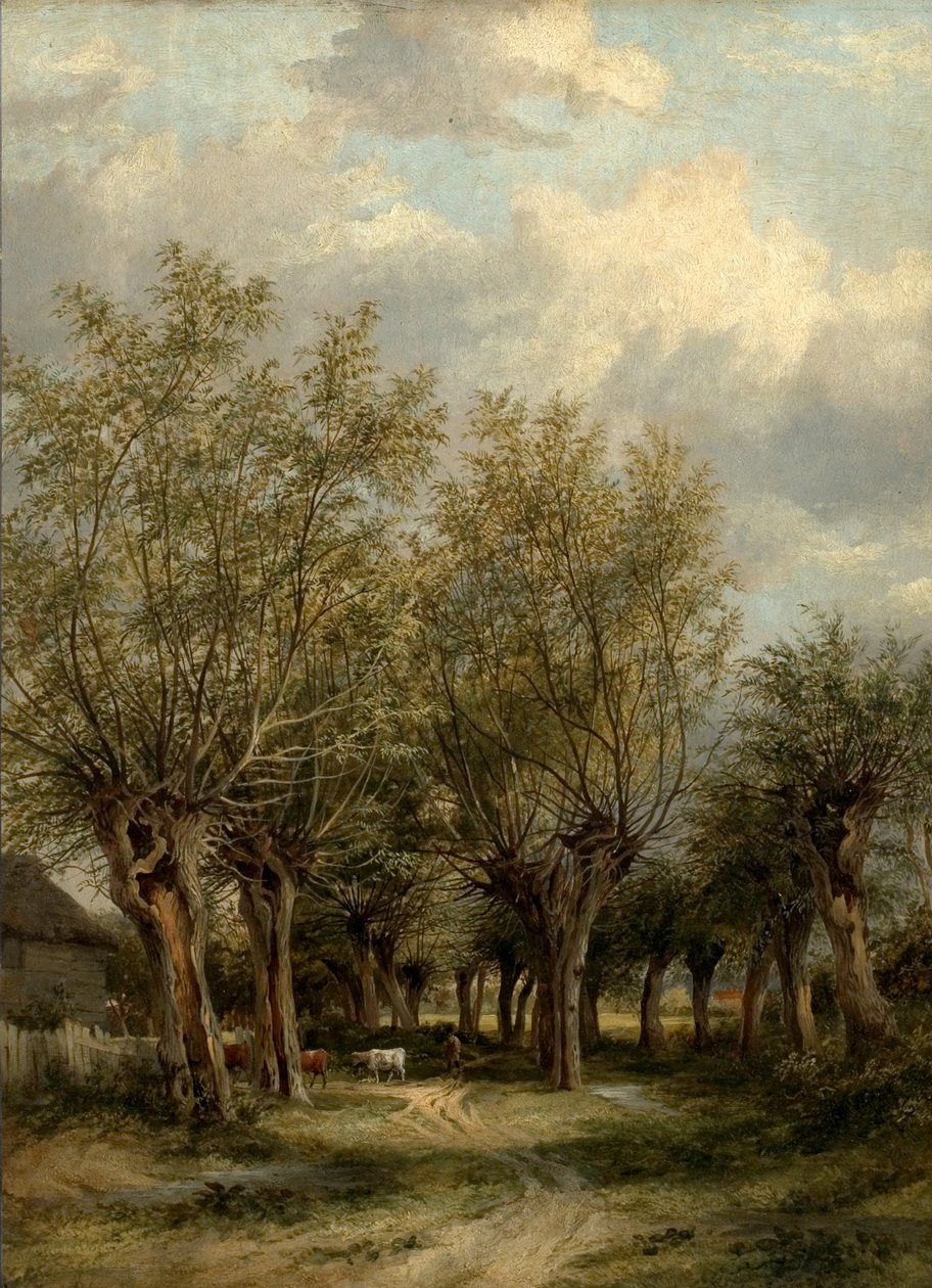 Lane poblíž Norwiche, Norfolk, kolem roku 1830 od James Stark
