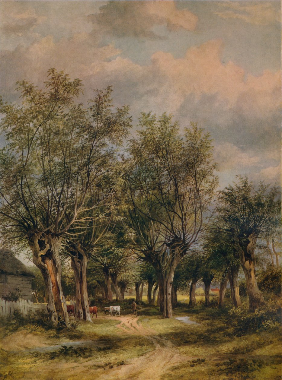 Lane poblíž Norwiche, c1837 od James Stark
