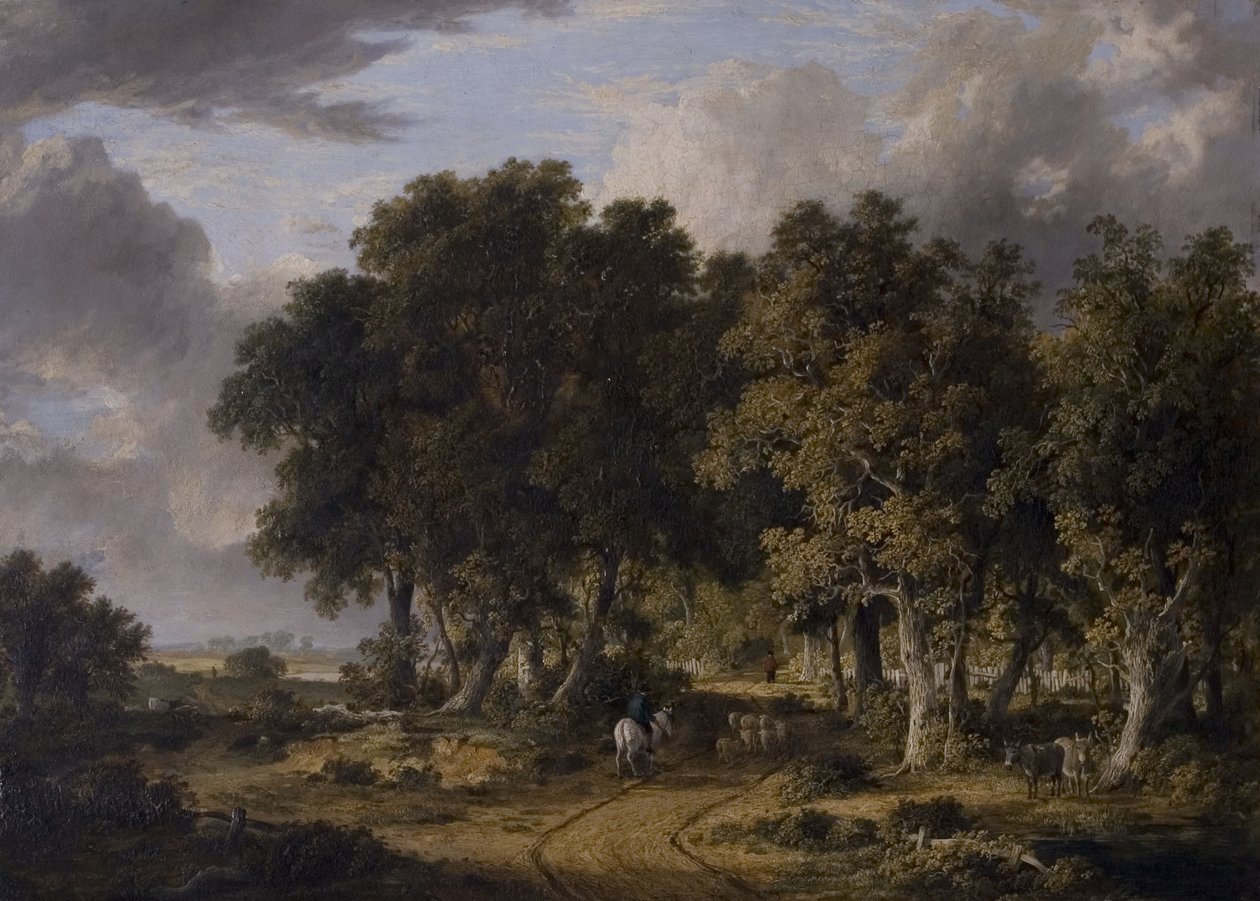 Pohled v New Forest, polovina 19. století od James Stark