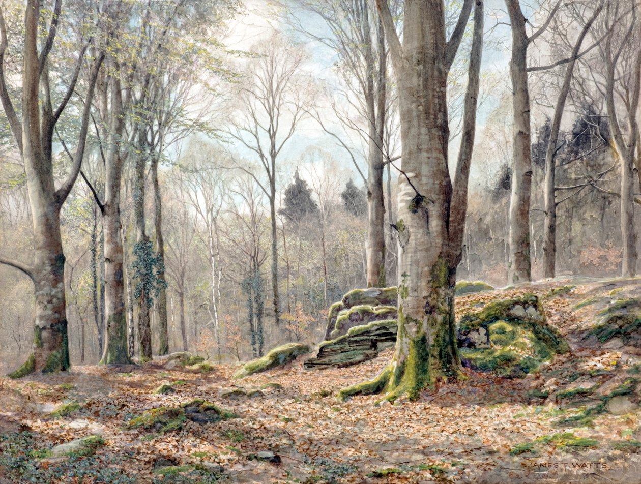 Velšský les (akvarel) od James Thomas Watts