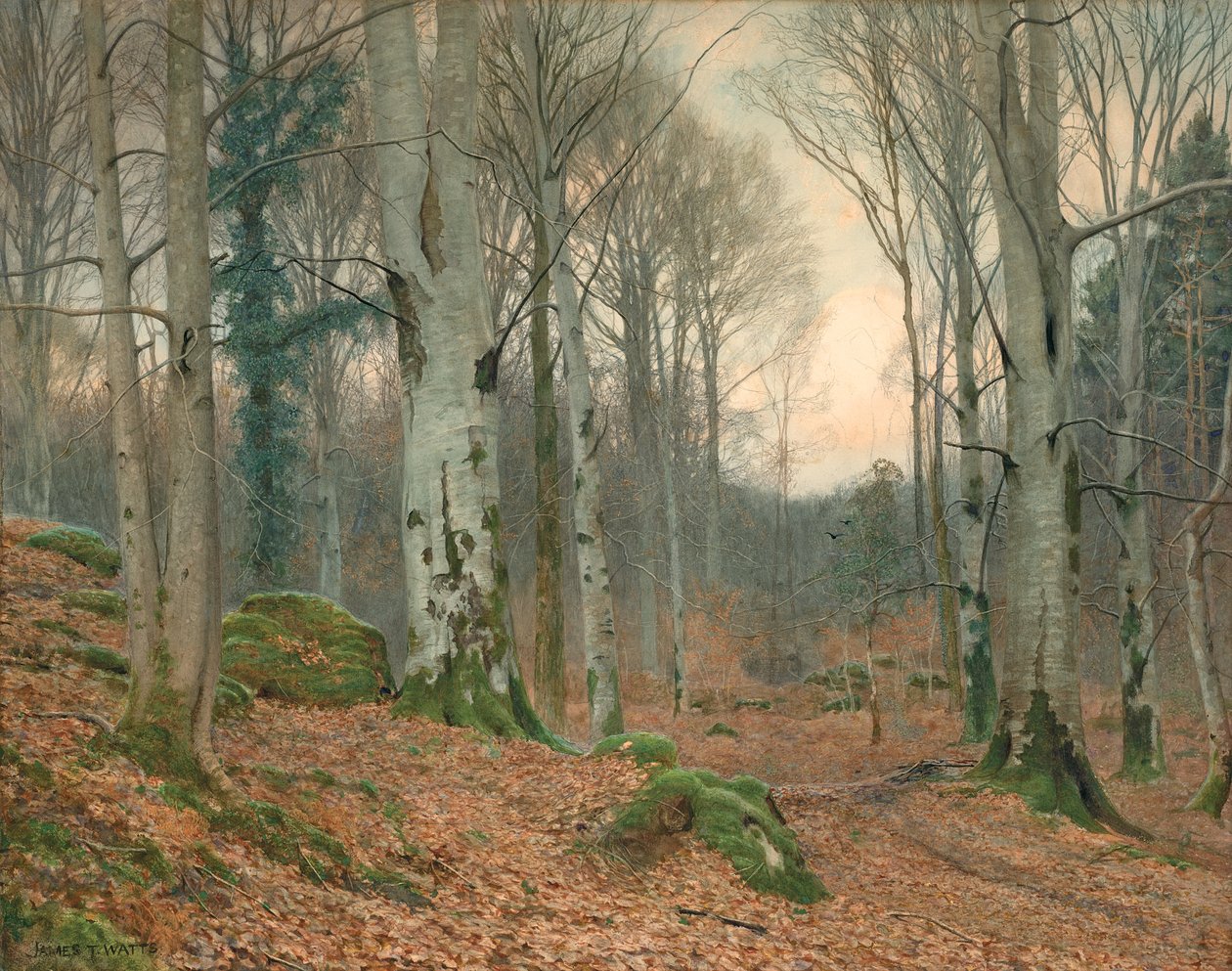 Velšský les v zimě (wc na papíře) od James Thomas Watts
