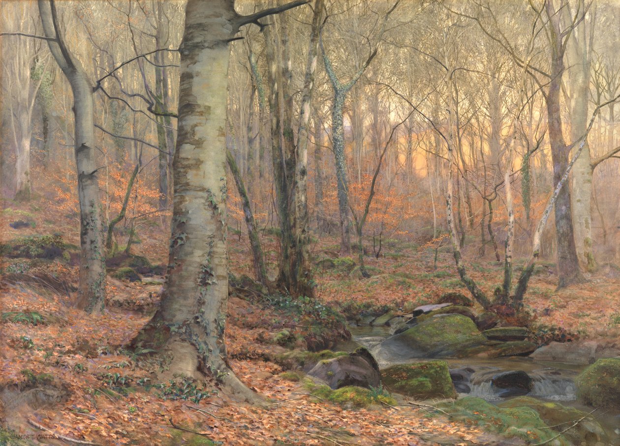 Russet and Grey: velšské bukové dřevo (bez) od James Thomas Watts