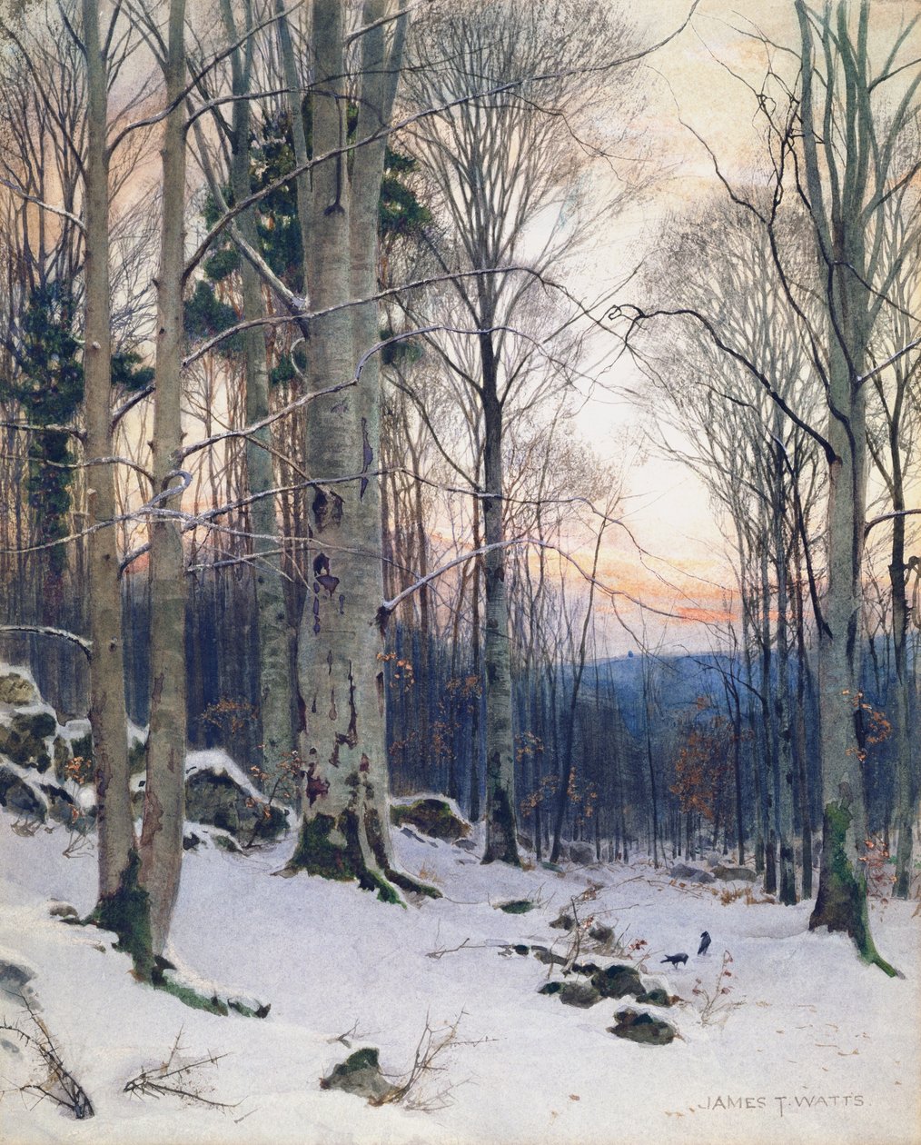 Twilight, Beech Woods (wc) od James Thomas Watts