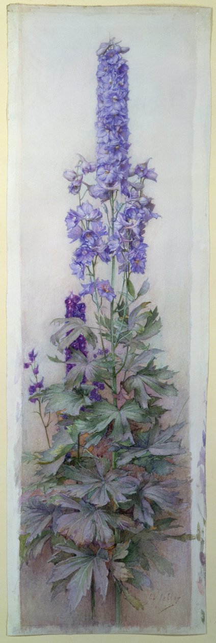 Delphiniums od James Valentine Jelley