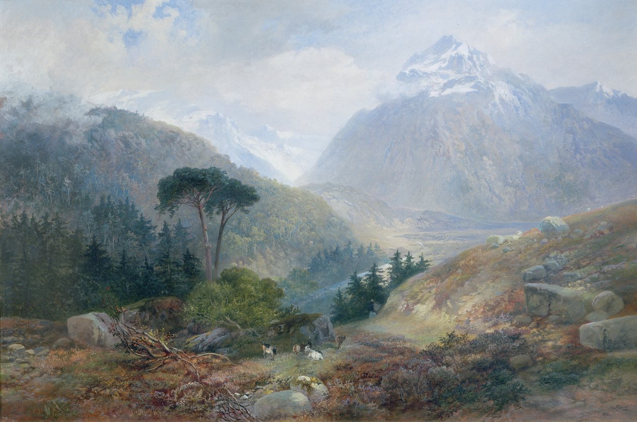 Pohled na Fenderthal, Tyrolsko, 1870 od James Vivien de Fleury