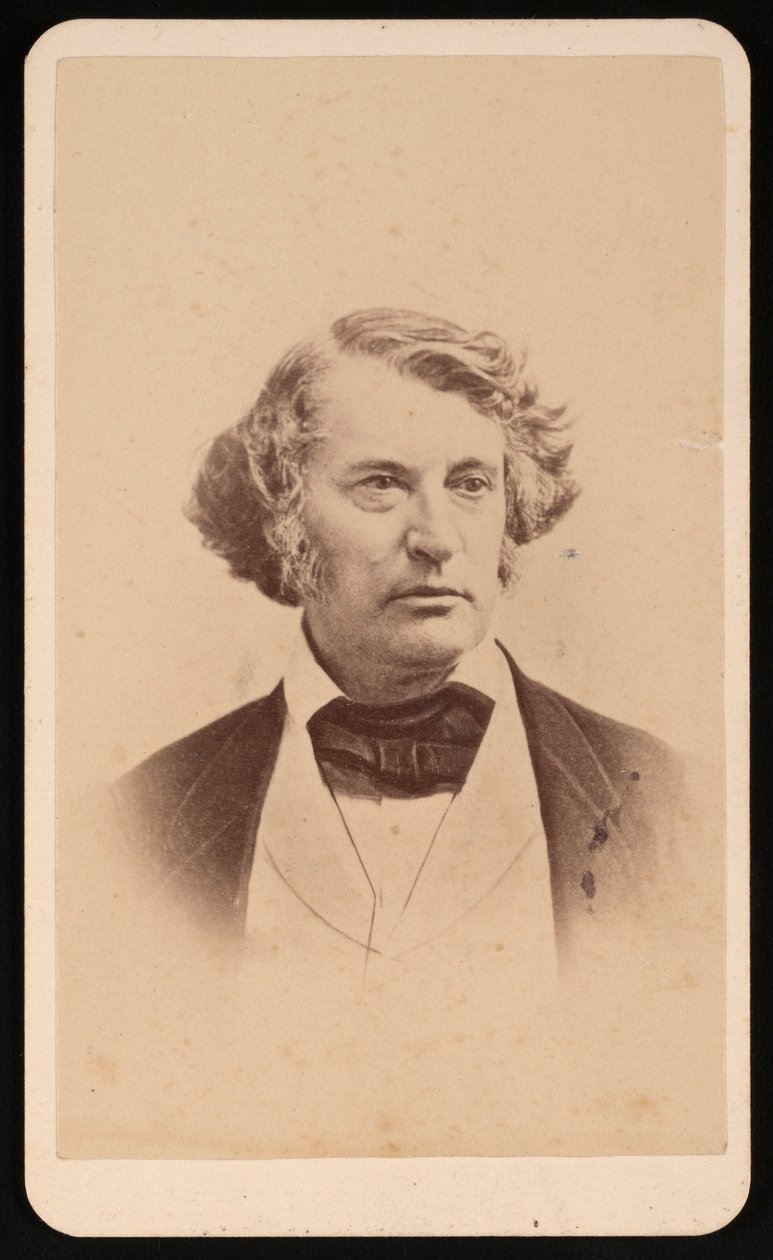 Portrét Charlese Sumnera 1811-1874, před rokem 1874. od James Wallace Black