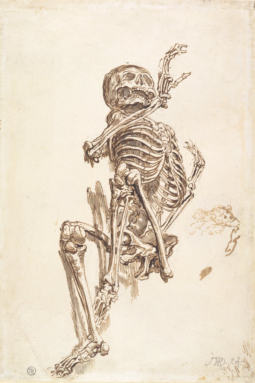 Lidská kostra (pero a inkoust a tužka na papíře) (recto) od James Ward
