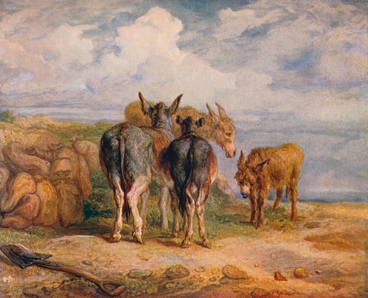 Osli, c1831 1904 od James Ward