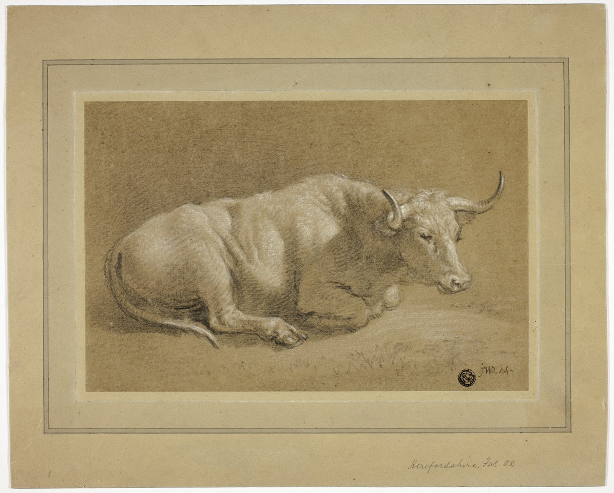 Herefordshire Fat Ox od James Ward