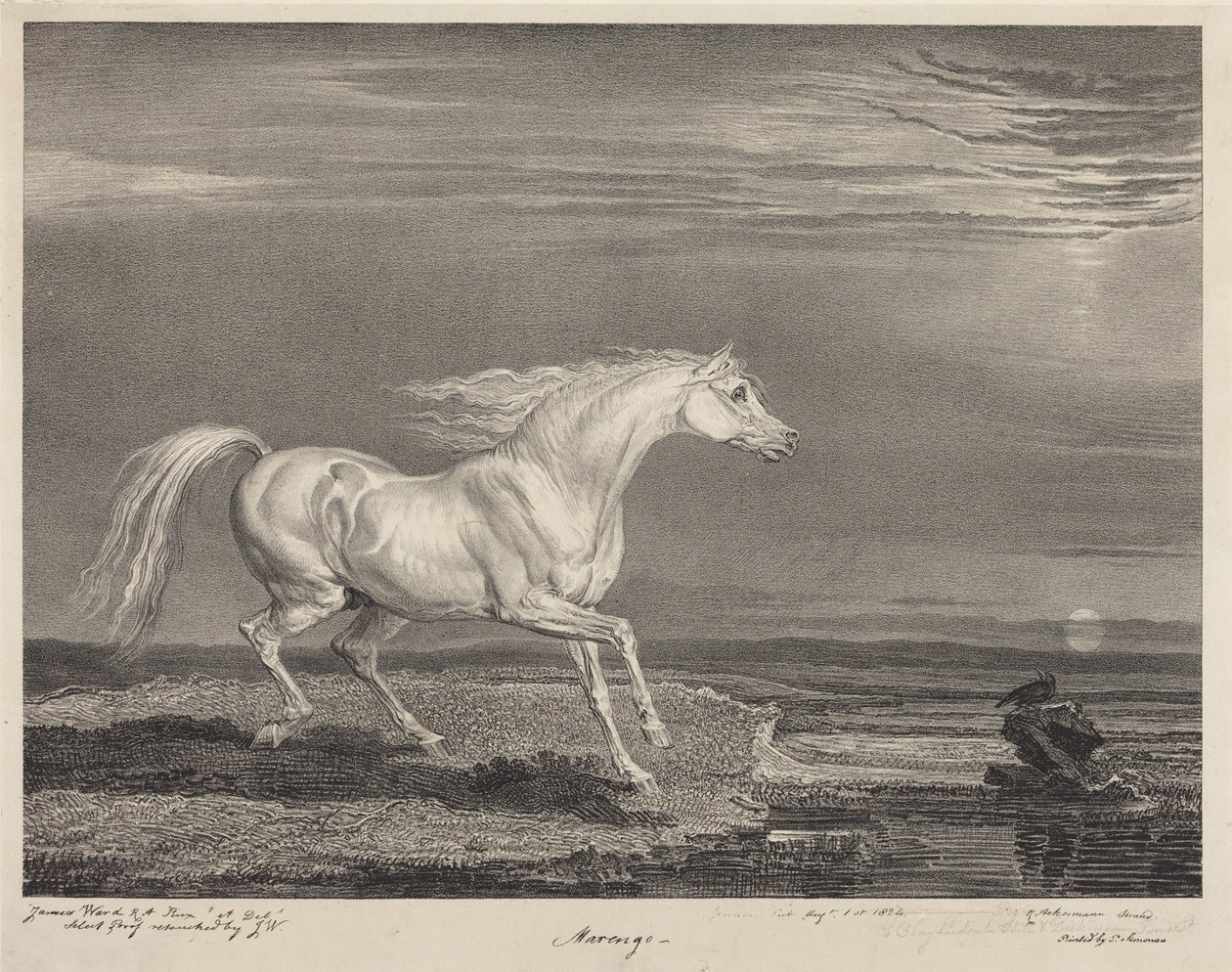 Marengo od James Ward